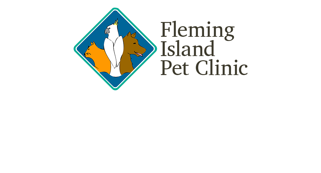 Vca Fleming Island Animal Hospital - Fleming Island , United States