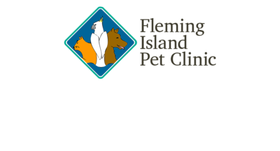 Island store pet clinic