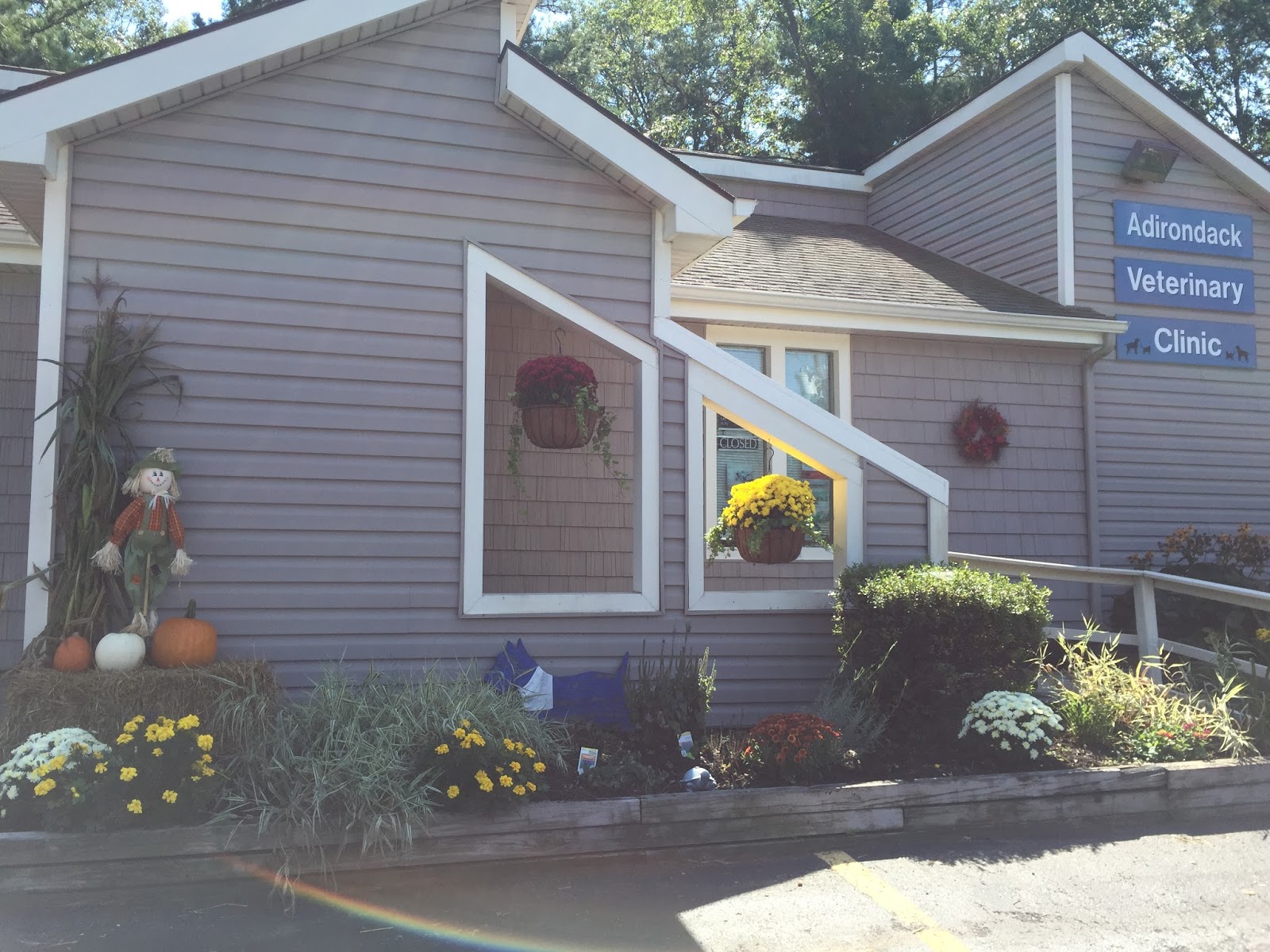 Adirondack Veterinary Clinic - Ballston Spa , United States