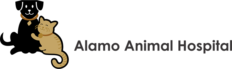 Alamo Animal Hospital - Vacaville , United States