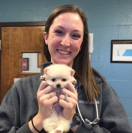 Southington Veterinary Associates - Southington , United States