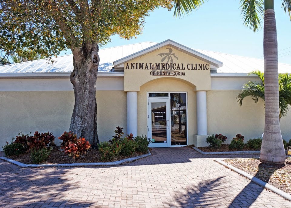 Dr Allys Animal Clinic Of Punta Gorda Animal Medical Clinic Of Punta Gorda - Punta Gorda , United States