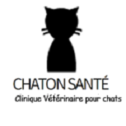 Chaton Santé Clinique Vétérinaire Pour Chats - Outremont , Canada