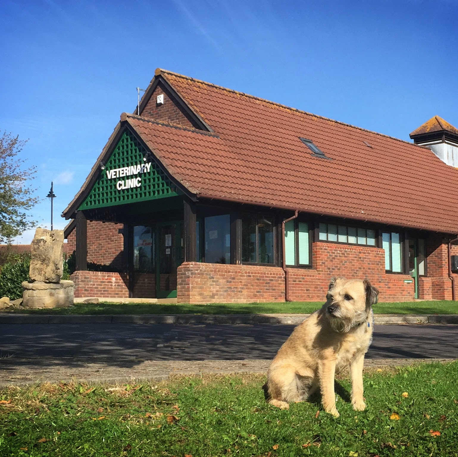 The Kingston Veterinary Group - Yeovil , United Kingdom