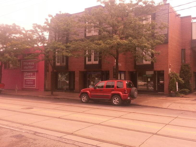 Trinity Mews Veterinary Clinic - Toronto , Canada