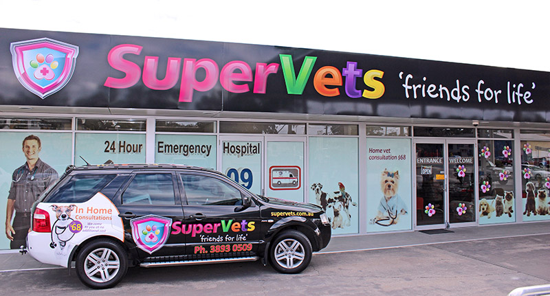 Supervets Manly West - Manly West , Australia