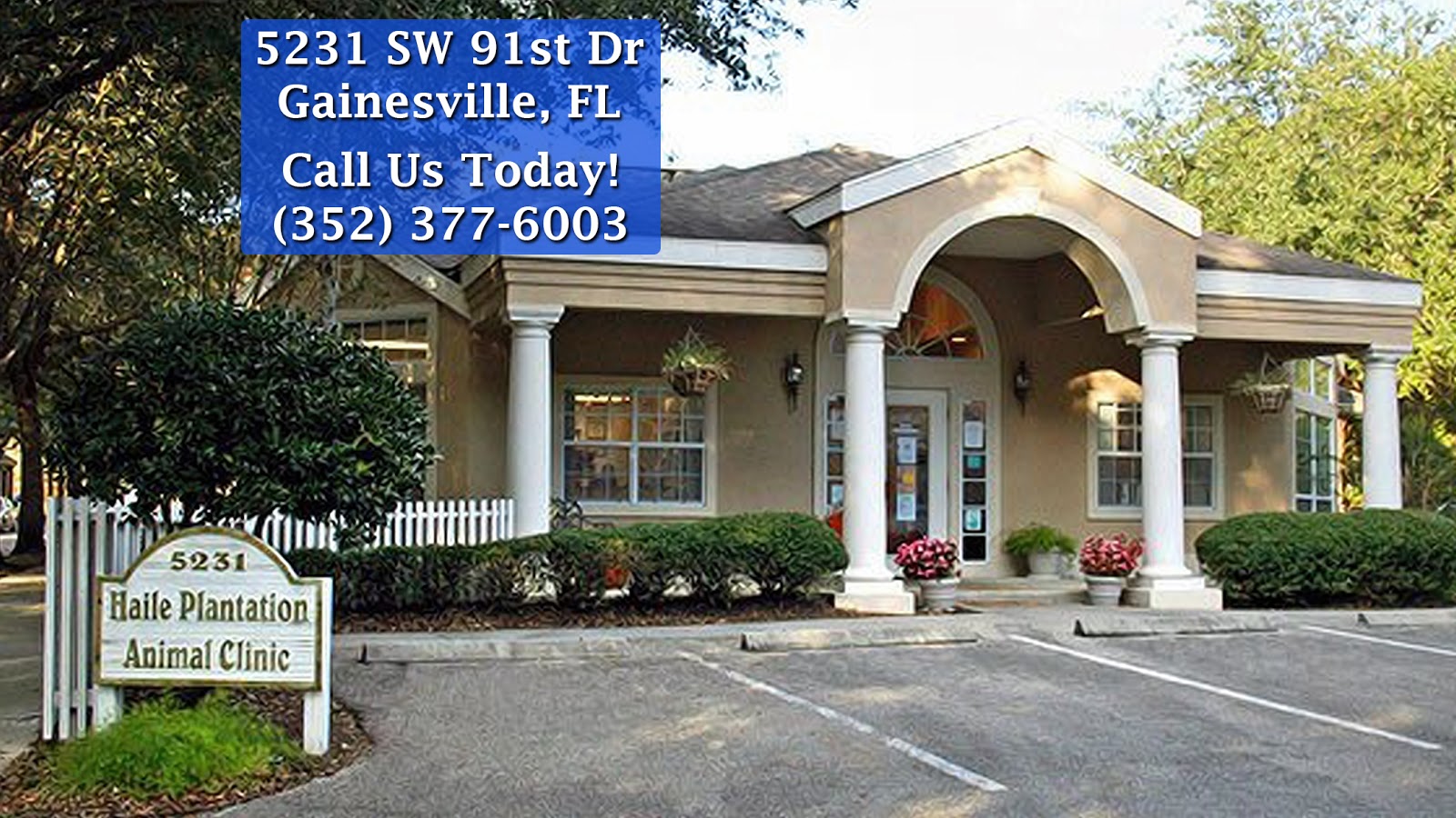 Haile Plantation Animal Clinic - Gainesville , United States