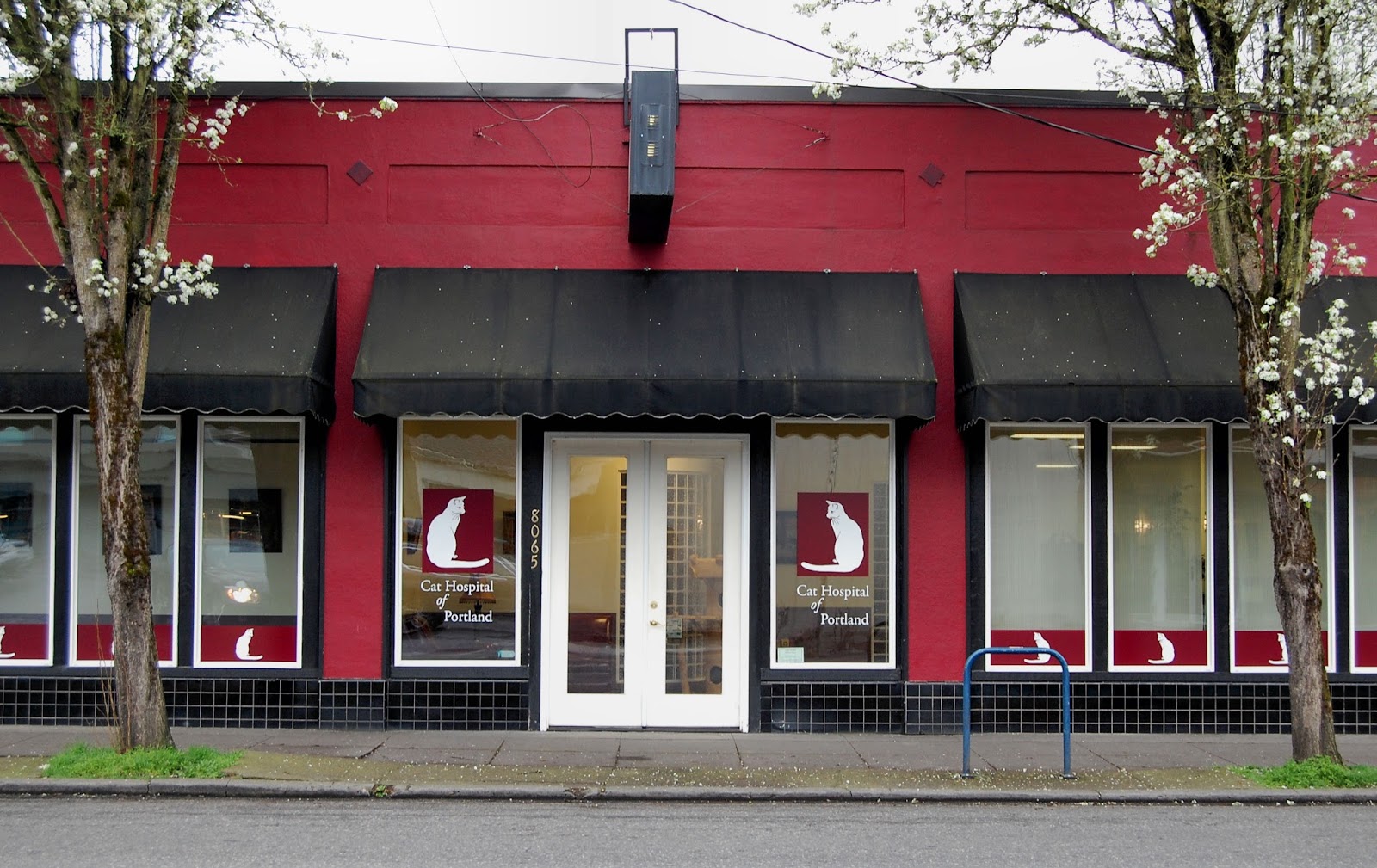 Cat And Dog Hospital Of Portland - Portland , United States