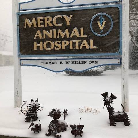 Mercy Animal Hospital - Cranston , United States