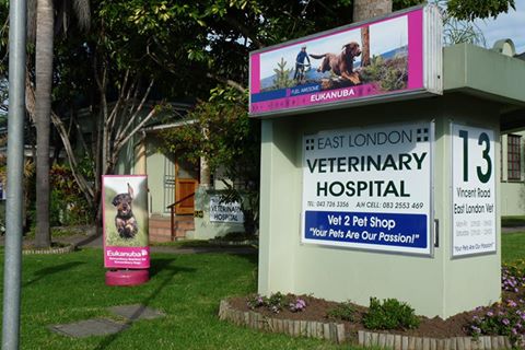 East London Veterinary Hospital - East London , South Africa