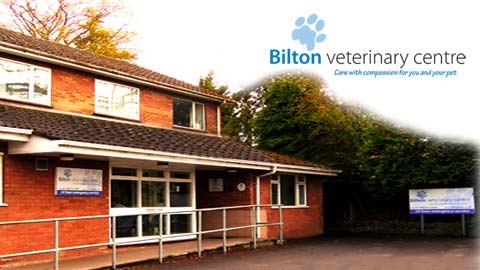 Bilton Veterinary Centre - Rugby , United Kingdom