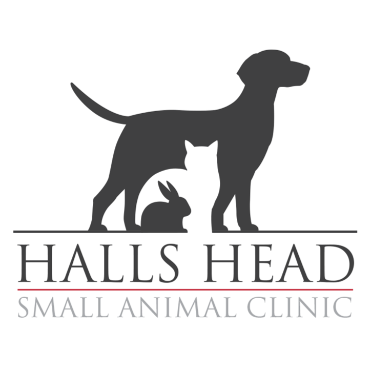 Halls Head Small Animal Clinic - Halls Head , Australia