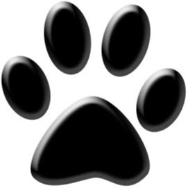 Paw Prints Ltd Veterinary Hospital - Tulsa , United States