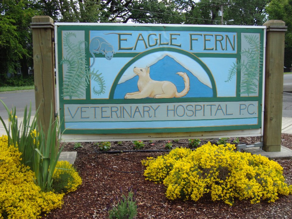 Eagle Fern Veterinary Hospital - Estacada , United States