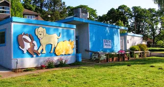 Neighborhood Animal Hospital - Salem , United States