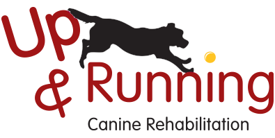Up And Running Canine Rehabilitation - Avon Lake , United States