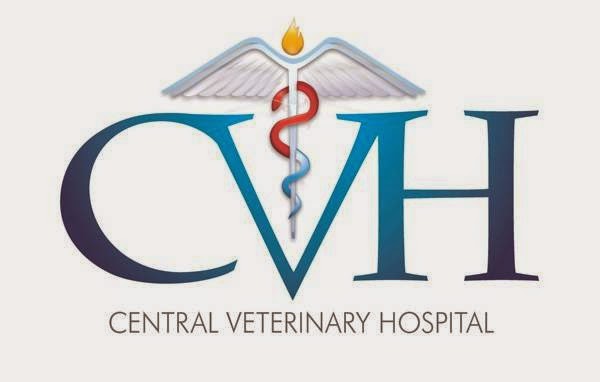 Central Veterinary Hospital - Albany , United States
