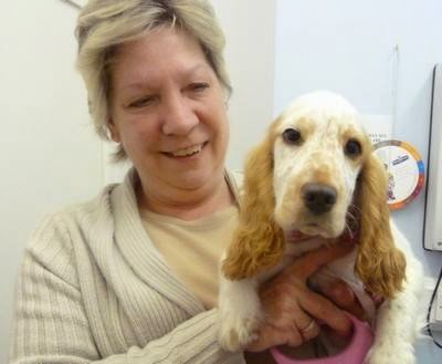 Medivet Fulham - London , United Kingdom
