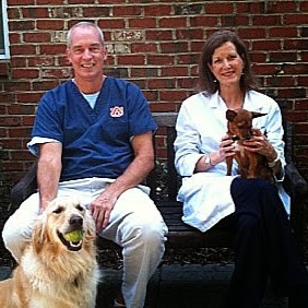 Gentle Care Animal Hospital At Ten Ten - Cary , United States