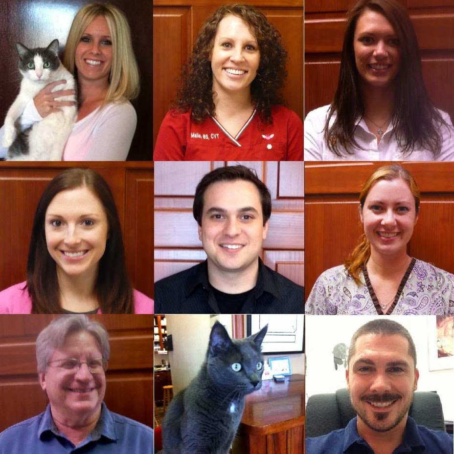 Cliff Lake Veterinary Clinic - Eagan , United States