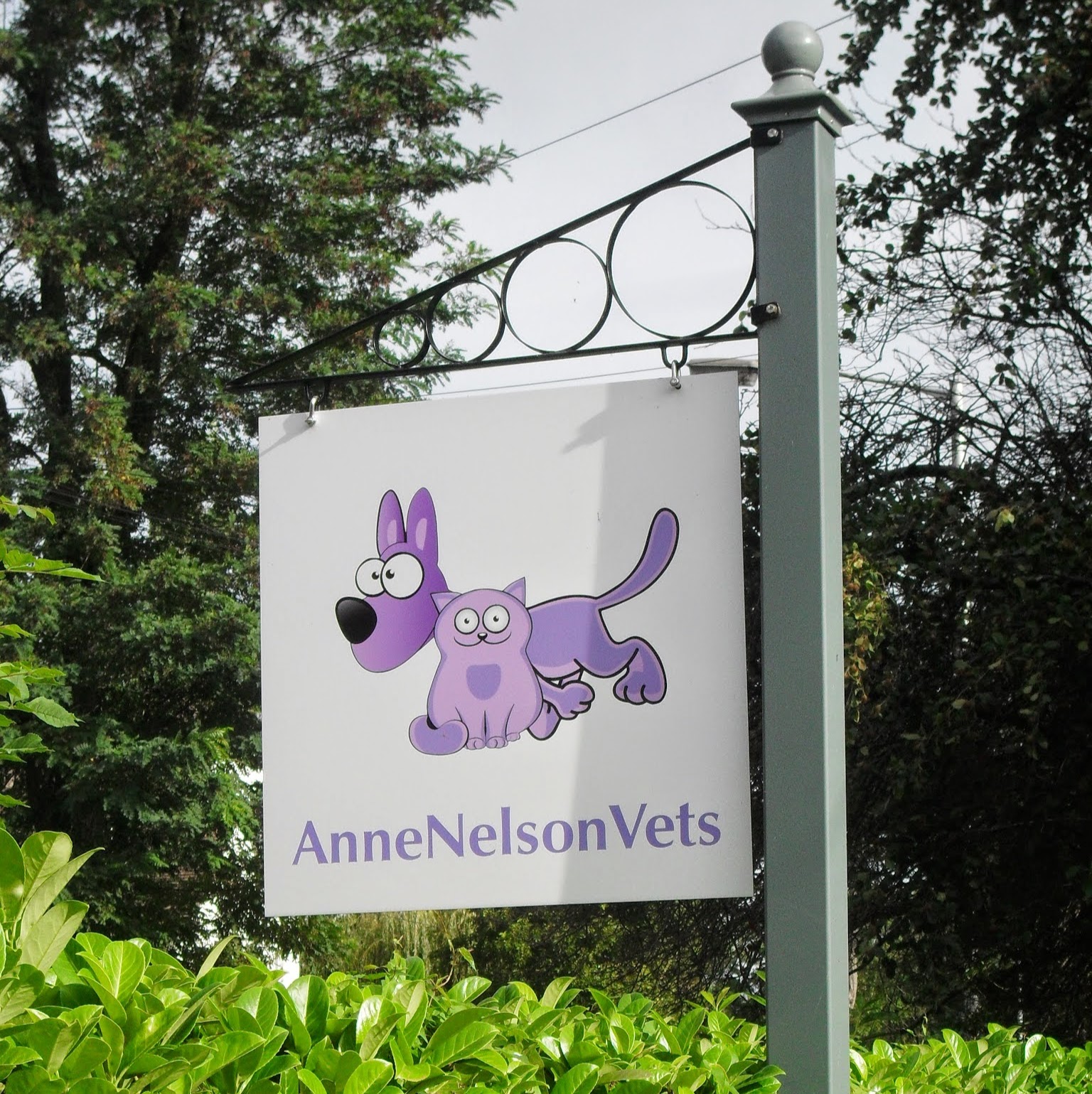 Anne Nelson Vets - South Croydon , United Kingdom