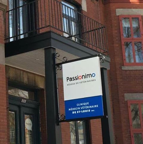 Clinique Médecin Vétérinaire De St Louis - Montreal , Canada