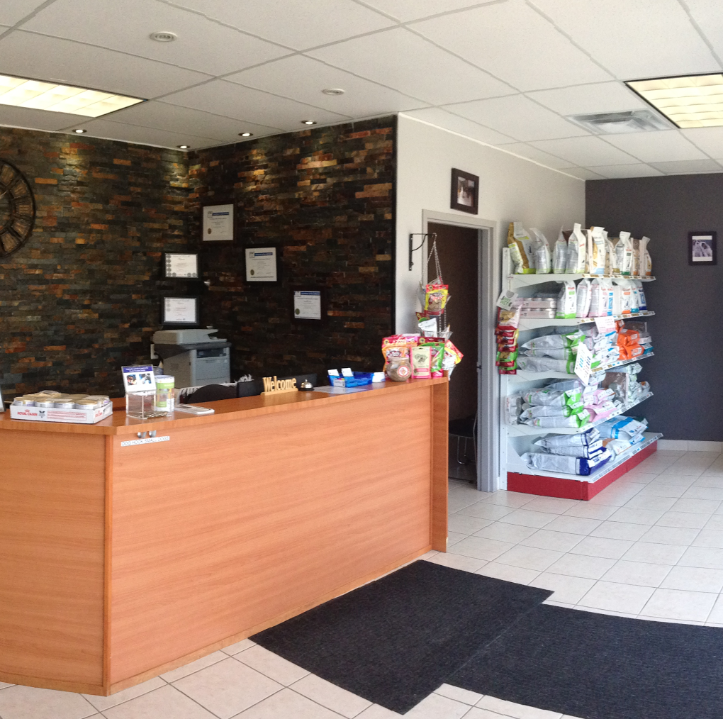 Downey Animal Hospital - Guelph , Canada