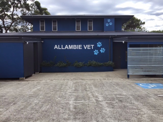 Allambie Vet Hospital - Allambie Heights , Australia