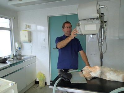 Business's Photo