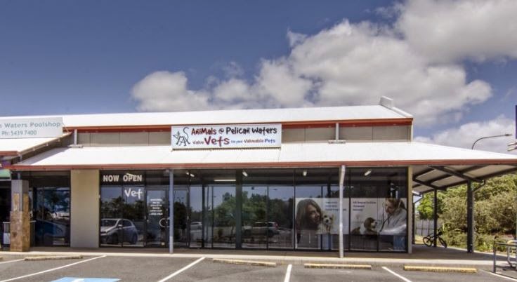 Caloundra Vet Pelican Waters Vet Surgery Dr David Coates - Golden Beach , Australia