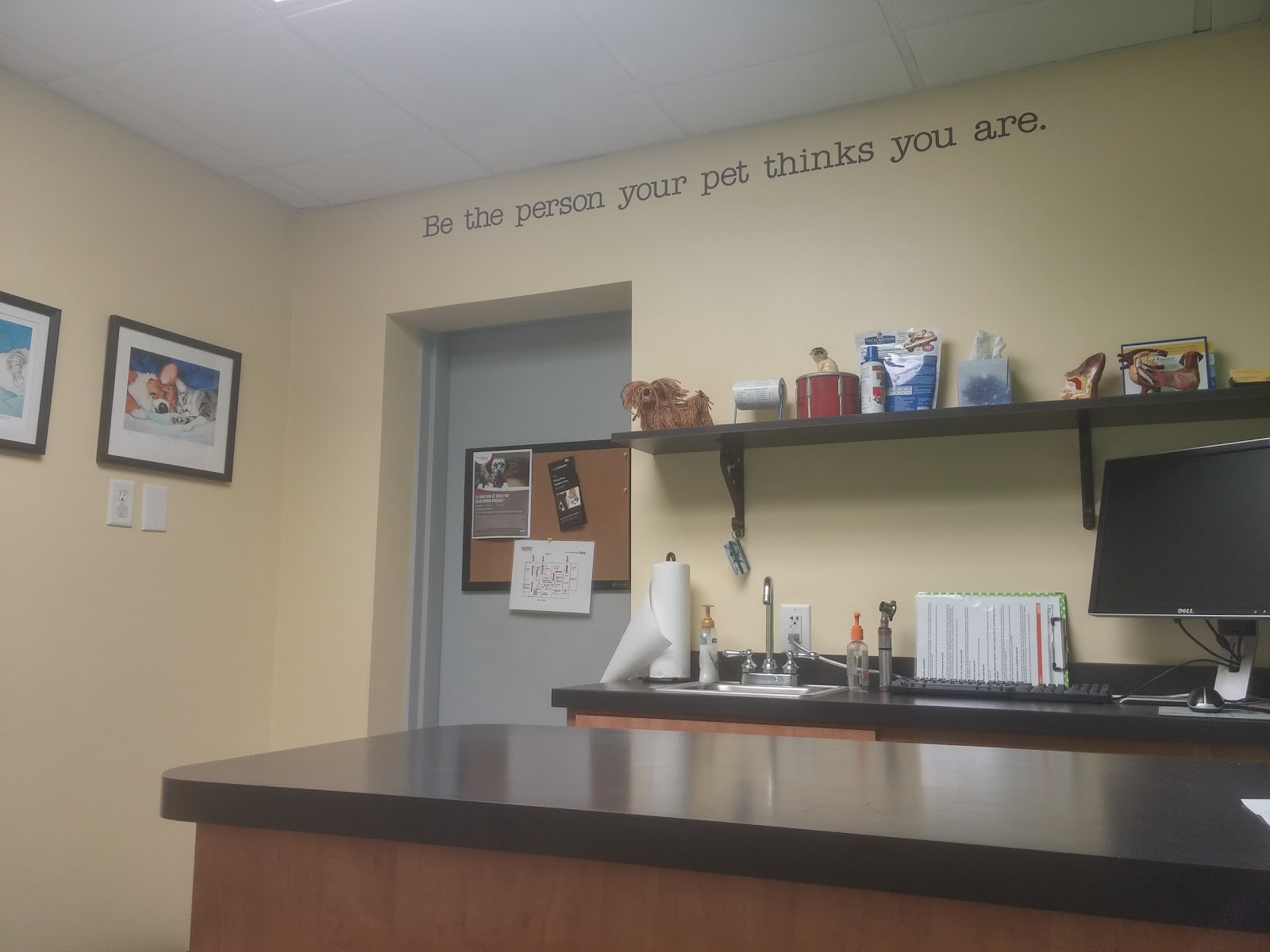 Churchland Animal Clinic - Portsmouth , United States