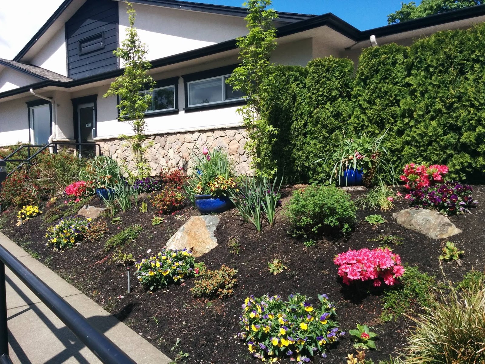 Elk Lake Veterinary Hospital - Victoria , Canada