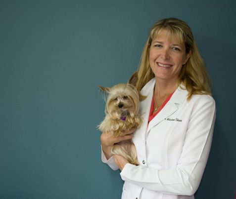 Southgate Animal Clinic - Milwaukie , United States
