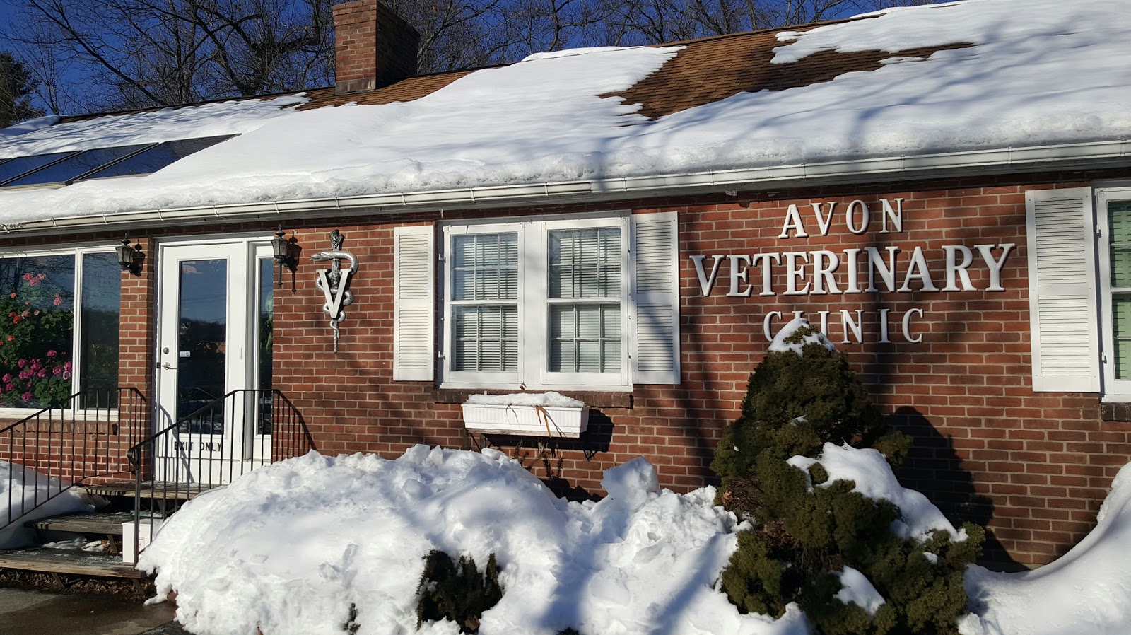 Avon Veterinary Clinic - Avon , United States