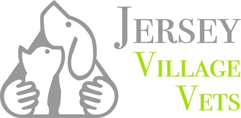 Jersey Village Vets St Clement - Jersey , United Kingdom