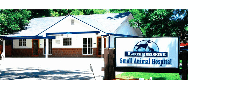 Longmont Small Animal Hospital - Longmont , United States