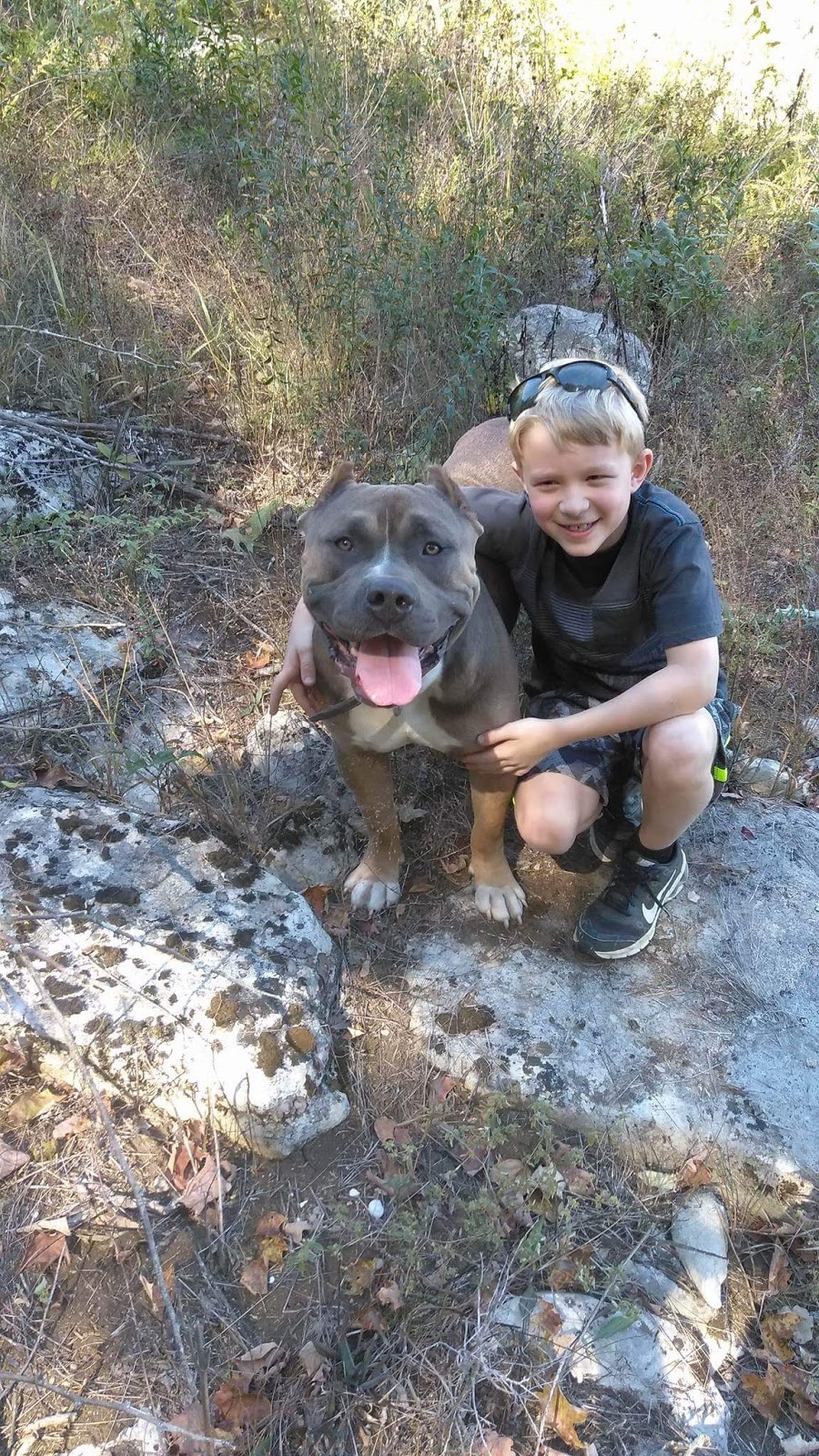 Gurley Animal Clinic - Gurley , United States