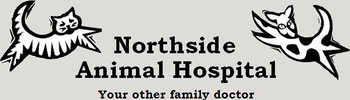 Northside Animal Hospital - Hooksett , United States
