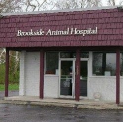 Brookside Animal Hospital - Hamilton , United States