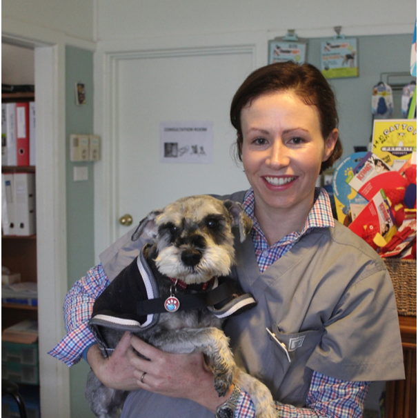 Bundanoon Veterinary Hospital - Bundanoon , Australia