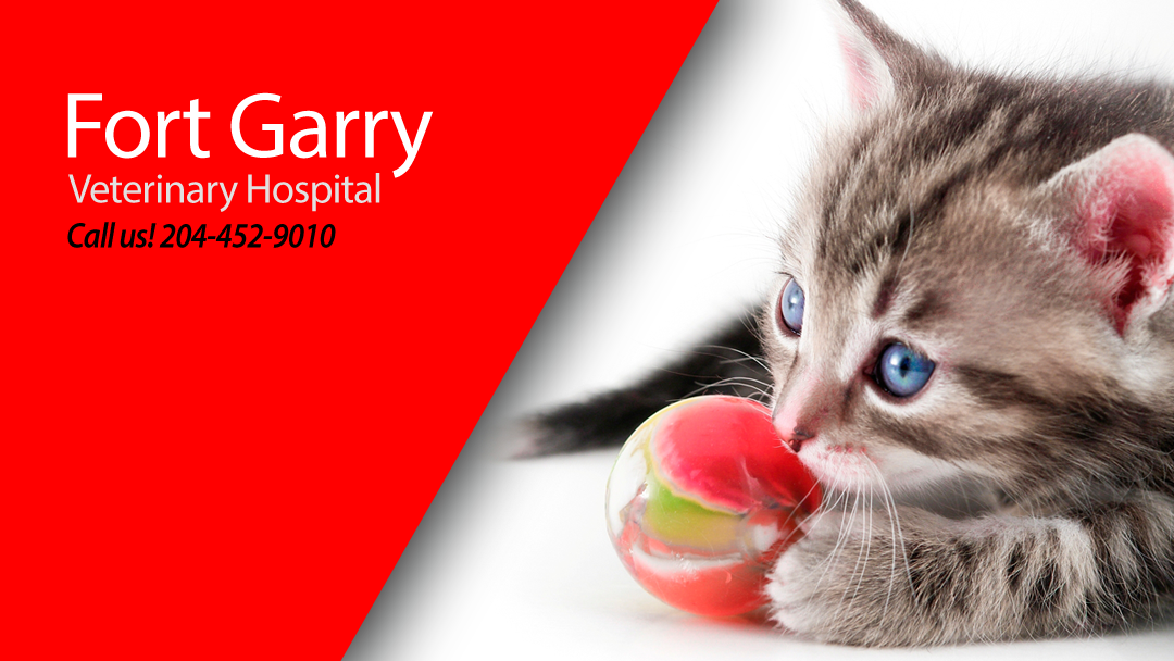 Fort Garry Veterinary Hospital - Winnipeg , Canada