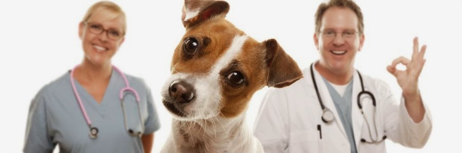 Canal Road Animal Hospital - Orange Beach , United States