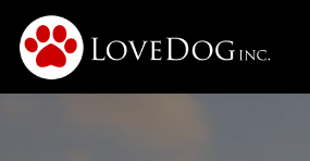 Love Dog - Palm City , United States