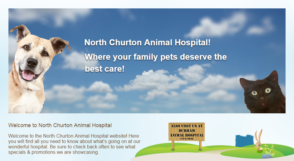 North Churton Animal Hospital - Hillsborough , United States