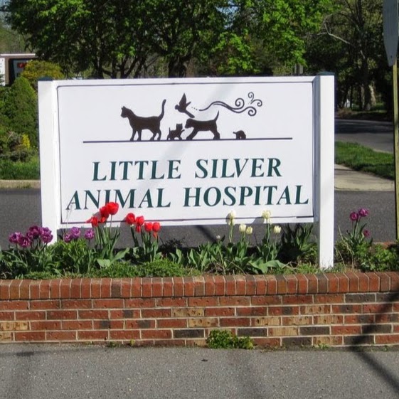 Little Silver Animal Hospital - Little Silver , United States