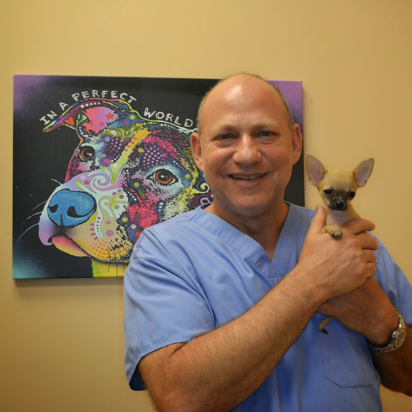 Indian Street Animal Clinic - Stuart , United States