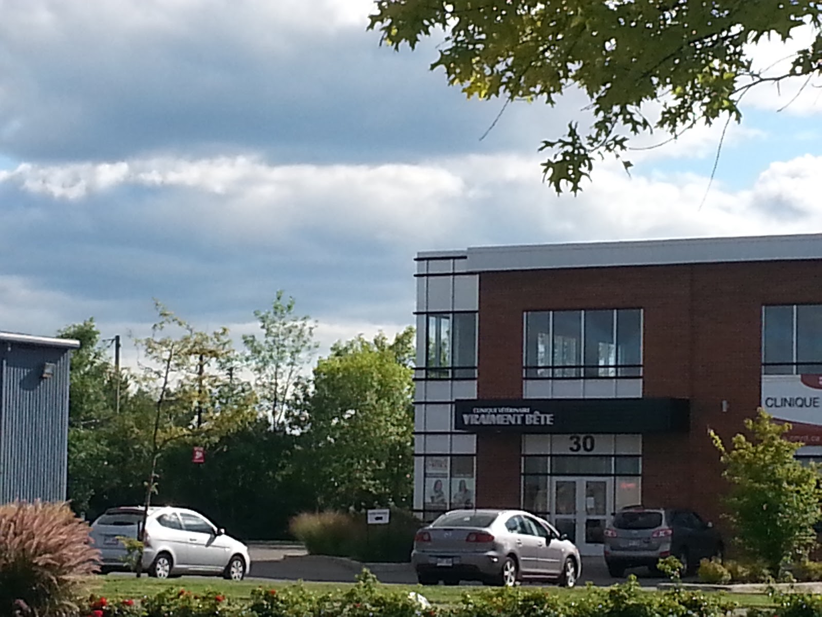 Clinique Vétérinaire Vraiment Bête - Rosemère , Canada