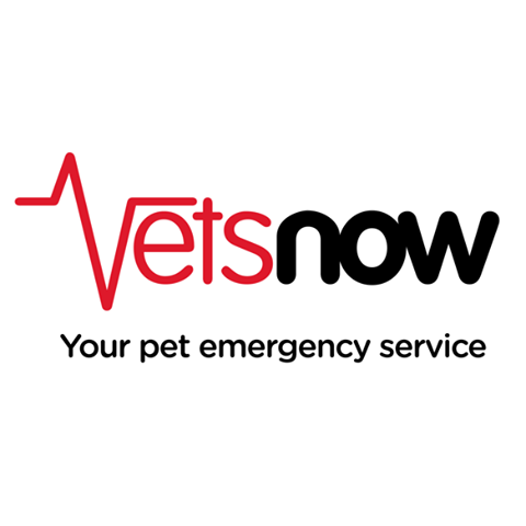 Vets Now Hospital Glasgow - Glasgow , United Kingdom