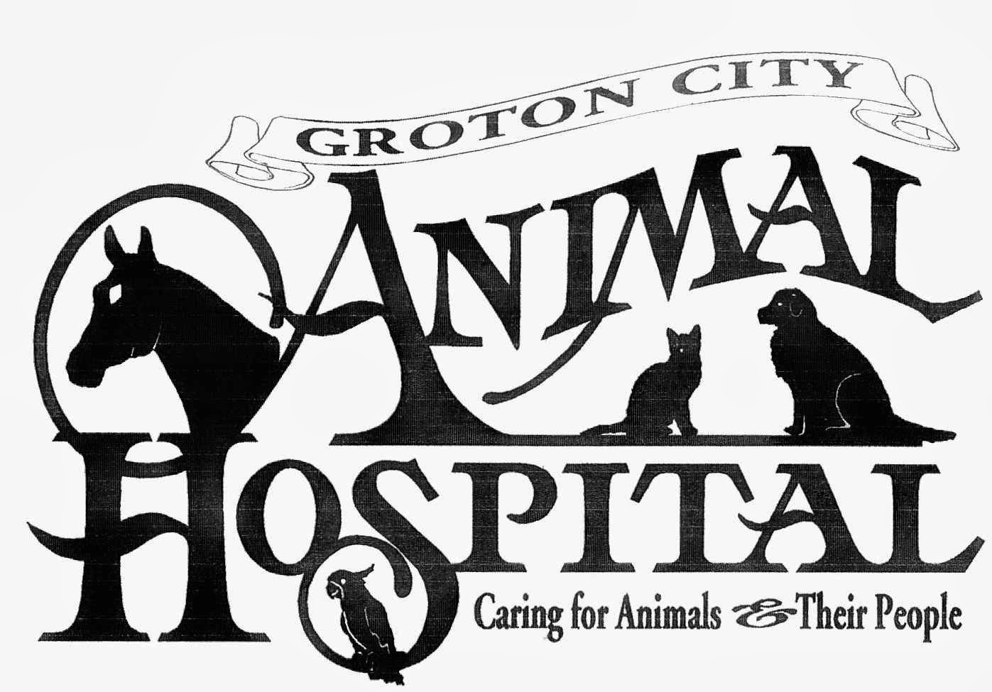 Groton City Animal Hospital - Groton , United States