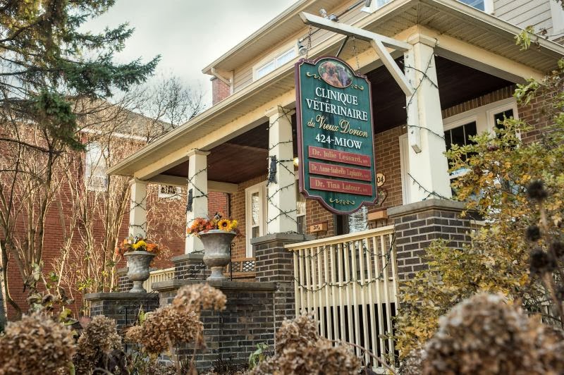 Veterinary Clinic Old Dorion - Vaudreuil-Dorion , Canada